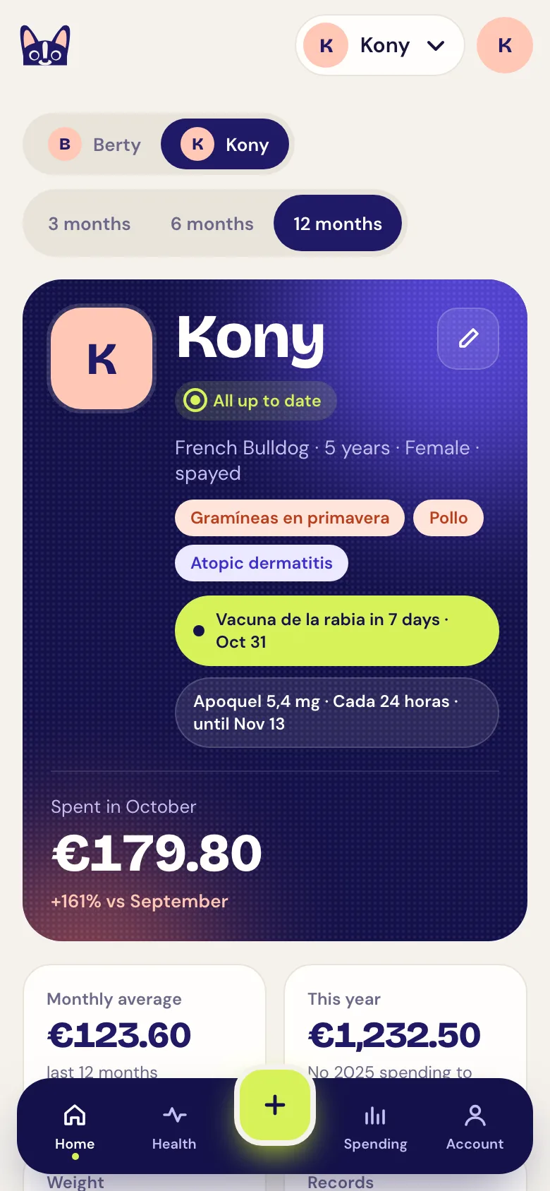 Screenshot of the web app's Home screen: Kony's summary with spending and upcoming reminders