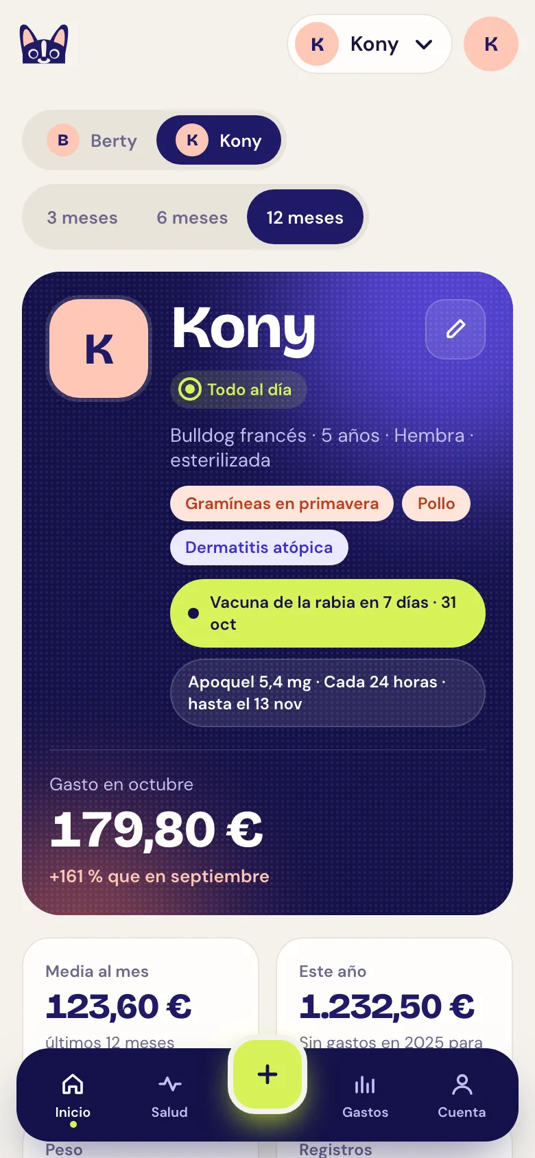 Captura de la pantalla Inicio de la app web: resumen de Kony con gastos y próximos avisos